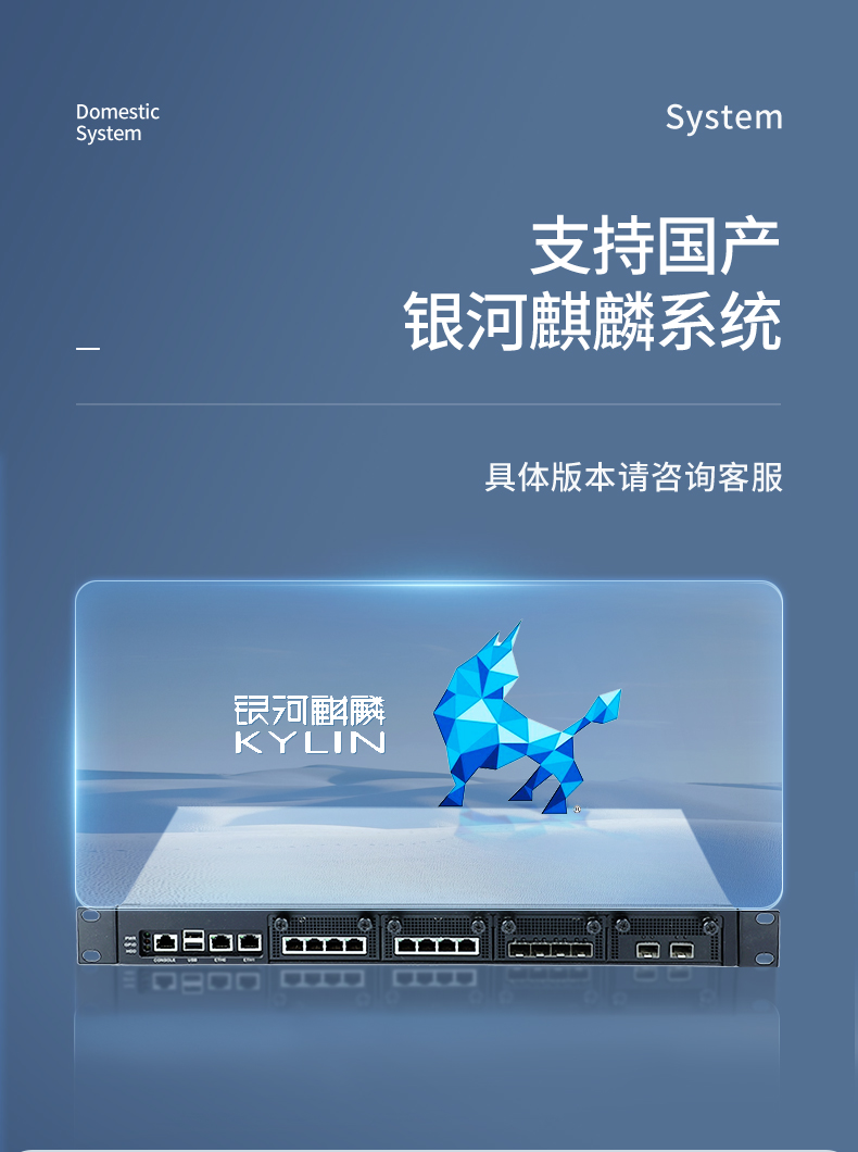 國產CPU工控機,1U多網(wǎng)口工控機,DT-12420-SD2000.jpg